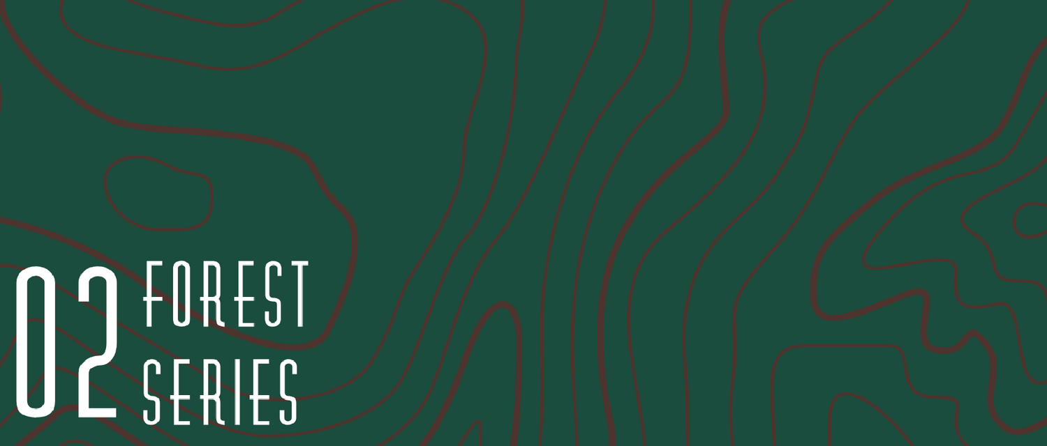 02 Forest Series